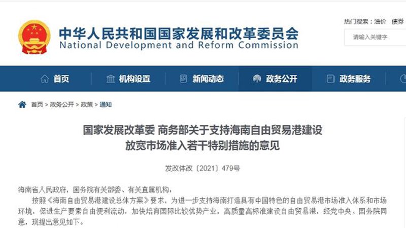 海口网络公司的崛起:本地市场与全国视野的完美结合